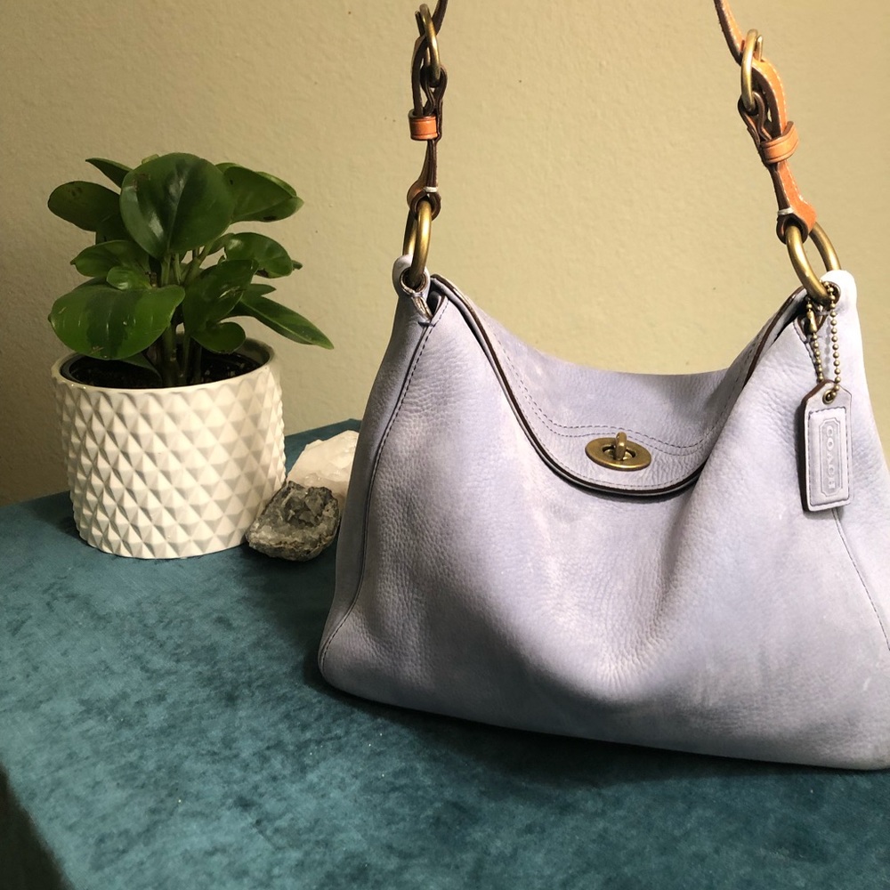 Soft Suede Coach bag.